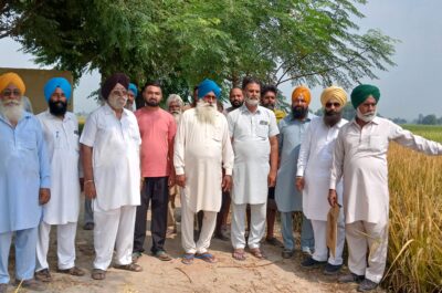 ਪੁੱਤਾਂ ਵਾਂਗ ਪਾਲੀ ਝੋਨੇ ਦੀ ਫਸਲ ’ਤੇ ਰਾਤੋ-ਰਾਤ ਸ਼ਰਾਰਤੀ ਅਨਸਰਾਂ ਨੇ ਕੀਤੀ ਰਾਊਂਡਅਪ ਸਪਰੇਅ, ਚਾਰ ਏਕੜ ਫਸਲ ਤਬਾਹ